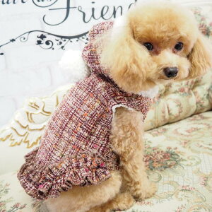 y2025N 労ӉiIzWPbg 0`6 Wp[ H ~  킢 t _[NJ[ || ӂӂ  AE^[ ɏ ps[ ^ ^  L ybg  