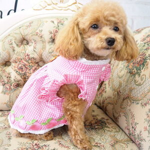 s[X 0`6 Vcs   Rbg[X s hX ɏ ps[ ^ ^  L ybg   L m ̕ L̕ hbOEFA 킢 