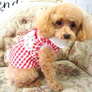 tFss[X 0`6 Vcs  킢 ڂ `jbN JWA MK`FbN i` Vv s hX ɏ ps[ ^ ^  L y