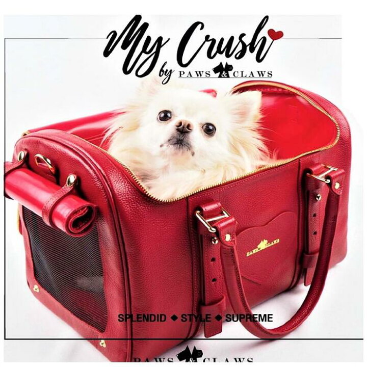 市場 ボストンバッグ型キャリーキャリーバッグ パピー 服 キャリーケース 超小型犬 猫 小型犬 ペット 犬服 極小犬 犬 ペットキャリー バッグ