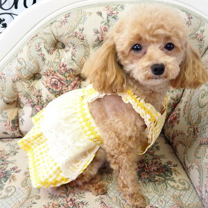 Gvss[X 0`5  t ĕ t [X efBxA Gv s nhCh hX Wp[XJ[g WXJ ɏ ps[ ^ ^