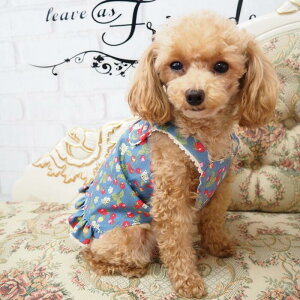 �w�J���g�b�v�X ���^���T�C�Y �g�b�v�X 1�`6�� �� �L �y�b�g �� ���� �L�� ���̕� �L�̕� �E�F�A �n���h���C�h �C�`�S �X�g���x���[ ������ ���킢�� �J�W���A�� �K�[���[ �X���[�u���X �m�[