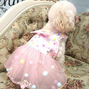 ߂탏ss[X 0`6 s || r[Y hX X[uX  hbg [X  `[ pXeJ[ ڂ ɏ ps[ ^ ^  L ybg 