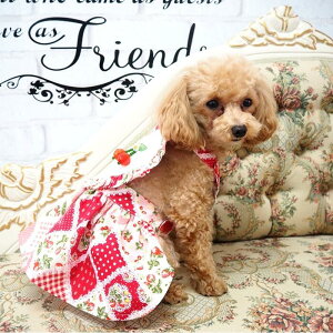 CfUCss[X 1`6 r[Y Rbg s Gv X[uX pb`[N hbg t ԕ n[g ɏ ps[ ^ ^  L ybg   n