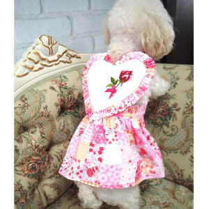 CfUCss[X 1`6 r[Y Rbg s Gv X[uX pb`[N hbg t ԕ n[g ɏ ps[ ^ ^  L ybg   n