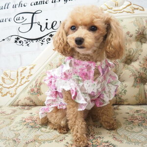 gbvXgbvX 0`6 uEX ؂₩ o^tC   [X  t ɏ ps[ ^ ^  L ybg   L ̕ L̕ m EFA 