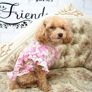 gbvXgbvX 0`6 uEX ؂₩ o^tC   [X  t ɏ ps[ ^ ^  L ybg   L ̕ L̕ m EFA 