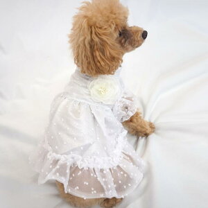 可愛すぎるワンピワンピース 0〜6号 ティアードドレス パーティードレス フォーマル シースルー おでかけ パピー 超小型犬 小型犬 犬 猫 ペット 服 犬の服 猫の服 犬服 猫服 ウェア かわいい
