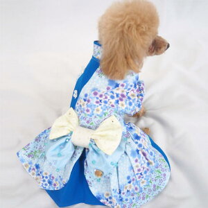 a҂[s[X 0`6 a a ܎O N ɏ ps[ ^ ^  L ybg  ̕ L̕  L m EFA 킢  i` w 