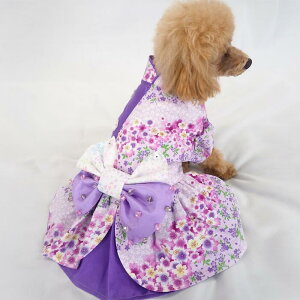 �y�������̊��Ӊ��i�z�����������s�[�X 0�`6�� �a�� �a�� ���� �N��� �ɏ��� �p�s�[ �����^�� ���^�� �� �L �y�b�g �� ���̕� �L�̕� ���� �L�� �m�� ���^���T�C�Y ���킢�� ������� �i�`��