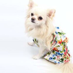 ][gfUCc[s[X 1 4 s[X s EFA ɏ ps[ ^ ^ ^  L ybg   L ̕ L̕ m t hX ڂ {^jJ  