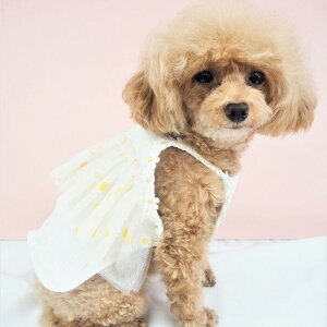 XqZbgs[X ӂ Vv s hX T}[hX Xg[nbg ނXq Xq Xq nbg ɏ ps[ ^ ^  L ybg  L̕ 