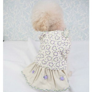 i`ss[X 0`6 m EFA tA JWA Vv ԕ k i`J[ i` I[V[Y  s ɏ ps[ ^ ^  L 