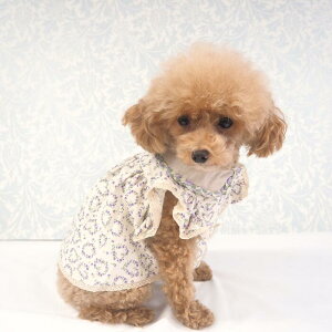 `jbNss[X 1`6 `jbNs[X `jbN EFA tA JWA i`J[ 킢 Vv k [X  s ɏ ps[ ^ ^