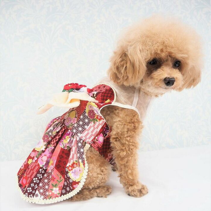 楽天市場】今年も大人気！！和んぴぃすワンピース コットン 和服 和装 