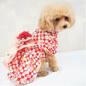 a҂[s[X 0`6 hX m  s s͗l Rbg a a a ܎O  w l ЂȍՂ  ɏ ps[ ^  L ^ ybg