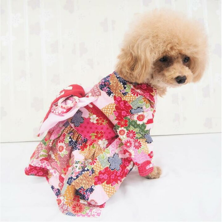 楽天市場】ご家族の大切な節目に…ワンピース パピー 超小型犬 小型犬 