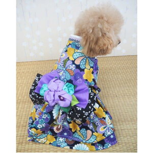 NlCIIa҂s[X a a a s hX w l ܎O N a  ЂȍՂ ɏ ps[ ^ ^  L ybg  ̕ L̕ 