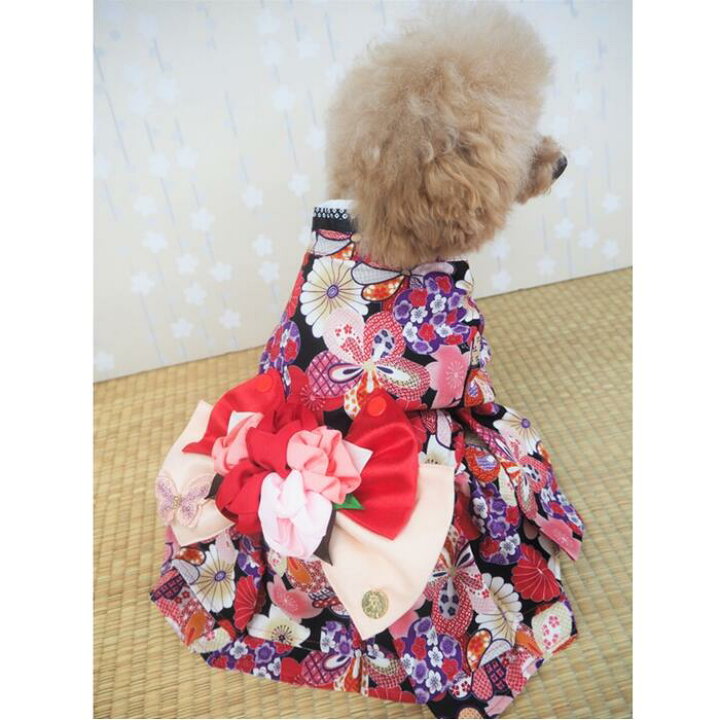 楽天市場】今年も大人気！！和んぴぃすワンピース 極小犬 パピー 超 