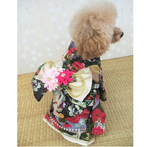 Ƒ̑؂ȐߖڂɁc 0`6 a  a ꒅ |bv 킢 ܂ݍ׍H ÓT N  w l ܎O ЂȍՂ  a ɏ ps[ ^ ^  