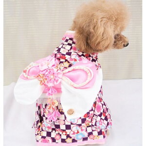 Ƒ̑؂Ȑߖڂɒ 0`6 a ꒅ  a a N ܎O w  ɏ ps[ ^ ^  L ybg   L ̕ L̕ EFA  킢