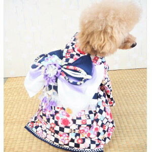 Ƒ̑؂Ȑߖڂɒ 0`6 a ꒅ  a a N ܎O w  ɏ ps[ ^ ^  L ybg   L ̕ L̕ EFA  킢