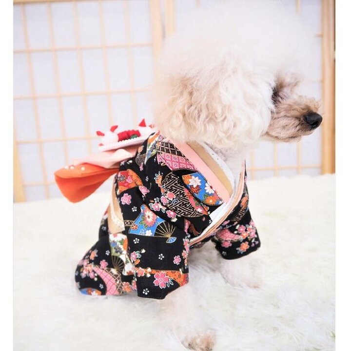 楽天市場】着物 猫の服 ウェア おしゃれ かわいい ポップ 古典柄 