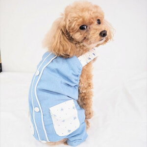 Œ郏s[X p[X 1`6 I[C EFA JWA ڂ m[X[u X[uX oCJ[ NR[f Ȃ s Jo[I[  ps[ 