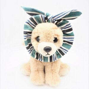 XgCv͗lXk[h STCY MTCY wAoh J`[V wbhoh ̕ L̕ i` XgCv i`eCXg  q VjA ڂ Vv C[o