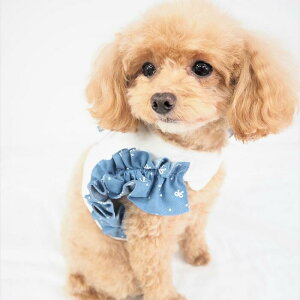 {hbgn[lX[h 1`6 n[lX [h  Zbg Vv ɏ ps[ ^ ^  i`eCXg L ybg  m  L ̕ L̕ t 