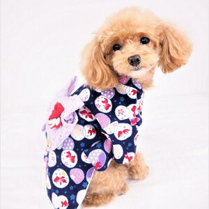  0`6 Ղ q  a a a a ɏ^ ps[ nhCh ^  L ybg   L ̕ EFA   Vv hbg ĕ ʖ͗l  