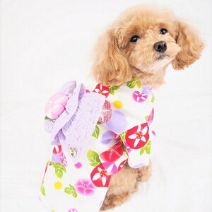  0`6 Ղ q  a a a a ɏ^ ps[ nhCh ^  L ybg   L ̕ EFA   Vv hbg ĕ ʖ͗l  