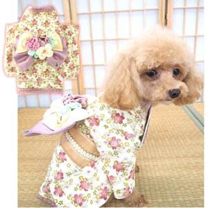 yZ[ X[p[SALEz 0`6 U  a a a ԃ`F[t N ܎O  Œ Rbg ÓT dˋ nt ɏ ps[ ^  L ybg