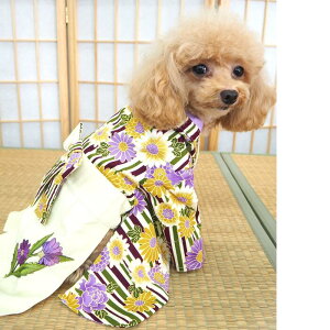 吳}Oь 0`6  a a Rbg ^ ݃J[ ܎O N  a҂ s[X     a XgCv H~ HF 