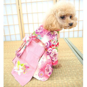 吳}Oь 0`6  L ̕ L̕ EFA ^ ݃J[ H~ HF    Œ a a  a҂ s s[X n