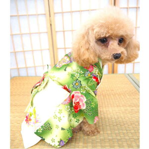 吳}Oь 0`6  L ̕ L̕ EFA ^ ݃J[ H~ HF    Œ a a  a҂ s s[X n