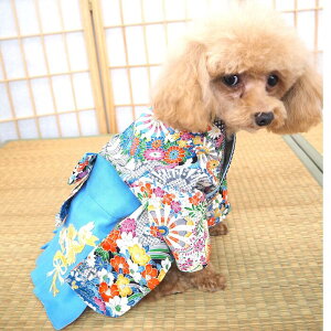 dĂь 0`6 a a a  a҂   nt ܎O N Ǝ w l dˋ Rbg ɏ ps[ ^  L ybg   L