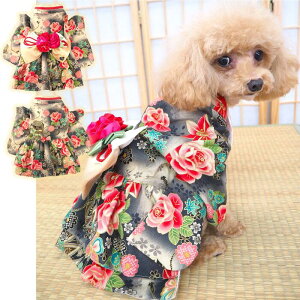 aƗm̗ǂa҂[ 0`6 EFA U  ^ ܎O N  ݃J[  Œ a a  a ÓT dˋ nt Rbg ɏ