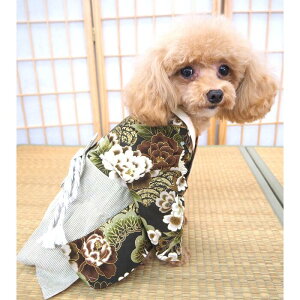 VbNȐFǧь 0`6 Œ ݃J[ a҂ a a a   ܎O N  mg[ dˋ  nt Rbg ɏ ps[ ^  