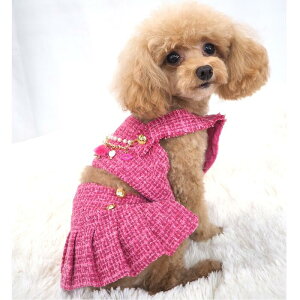 Ăyނꃏs[X 2`6 LL NX}X Cxg sN Zp[g s hX cC[h nhCh ɏ ps[ ^ ^ ^  L ybg  