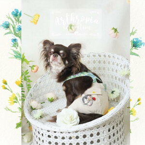 �T�X�y���_�[�t���{�g���X ���^���T�C�Y �H�� �T���y�b�g 2�`6�� �V���v�� �i�`������ �{�g���X �ɏ��� �p�s�[ �����^�� ���^�� �� �L �y�b�g �� ���̕� �L�̕� ���� �L�� �m�� �E�F�A ���m�g