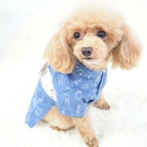 Œ 1`7 Vv }eCXg ĕ 䂩     Ղ q  a a a a nhCh ɏ ps[ ^ ^  L 