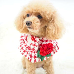 Œm|` 1`6 P[v AE^[ mg[ o NX}X Rbg 璹iq ɏ ps[ ^  L ybg   L ̕ L̕ EFA ^ H ~