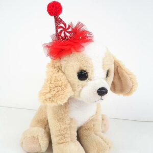 Happy Halloween ���^���T�C�Y �p�[�e�B�[�n�b�g S�`L�T�C�Y �X�q �n�b�g �n�� �a���� �p�[�e�B�[ �B�e ���킢�� ������� �L���L�� �`���[���E�B�� �N���X�}�X �ɏ��� �p�s�[ �A�N�Z�T���[ ����