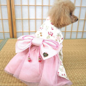 a𒅂a҂[s[X 1`7  Œ a a  U EFA ܎O N ^ ݃J[  nt dˋ a ÓT Rbg ɏ ps[