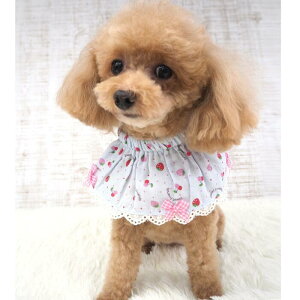 P[v 1`6 ANZ lbNANZ K[[ { fB ANZT[ ACe ybgp ɏ ps[ ^ ^  L 킢 LC `FbN XgCv pXeJ[ 