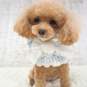 P[v 1`6 { ANZT[ fB 킢 [X rW[ LC ybgp ɏ ps[ ^ ^  L   L ڂ eBA[ht tt [X ybg 