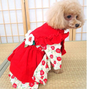 a𒅂a҂[s[X 1`7 Œ   U nt dˋ EFA ^ ݃J[   a a a ÓT Rbg ɏ ps[ 