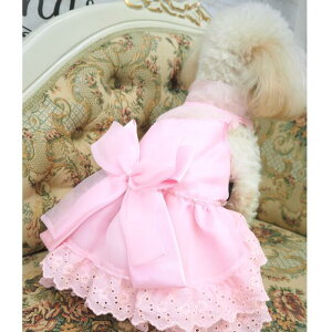 ^phXss[X XXS`XLTCY hX p[ p[eB[   L ̕ L̕ m hbOEFA { ڂ  킢 eBA[h r[Y  