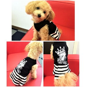 ꃏss[X XXS`MTCY ps[ ɏ ^  L ^ ybg   L ̕ L̕ EFA JWA s m Ðhmix X[uX m[X[u ^Ng